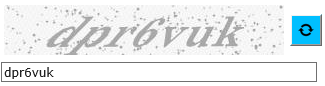 2. Enter Generated Code